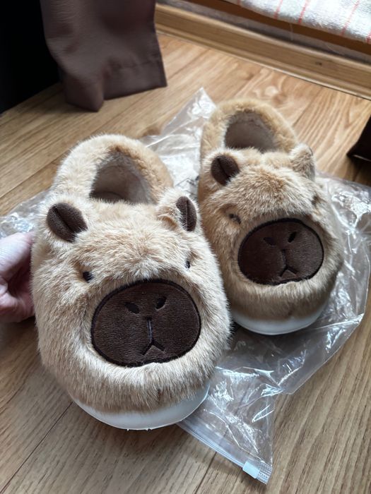 Домашні капці капібара