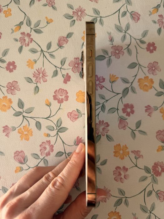 iPhone 13 Pro Max - 128GB (Vidro Traseiro Partido)