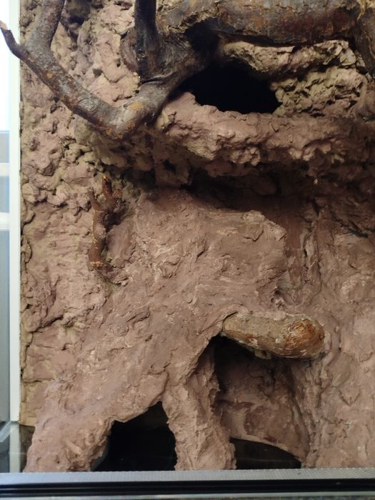 Terrarium dla gekonów