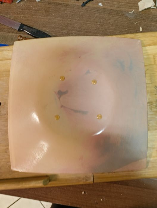 Kolorowa misa z lwem