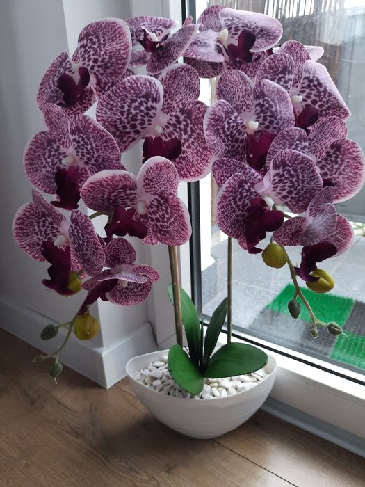 Storczyk sztuczny silikonowy dwupedowy