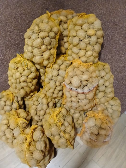 Ziemniaki pakowane na zimę 15 kg