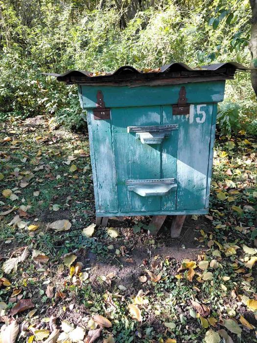 Продаються вулики дадан