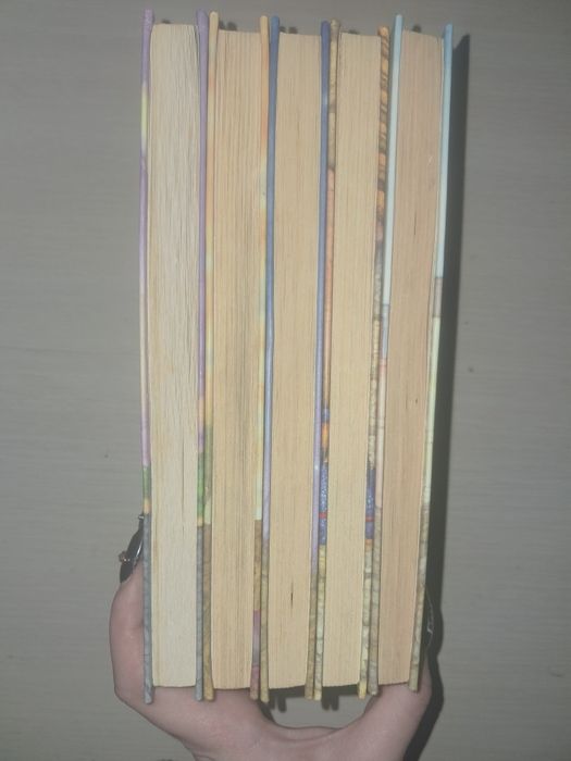 Серія книг "Таємне Товариство Б" Леся Воронина