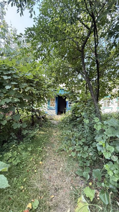 Будинок з ділянкою в Титусівці