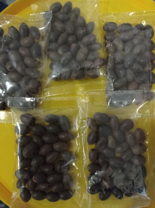 Sementes de lótus cores sortidas