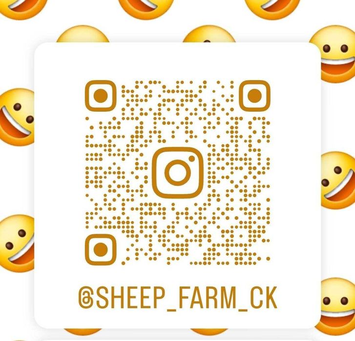 Чистокровний Дорпер, кроси. Барани, ярки, вівці. На росплід, на м'ясо.