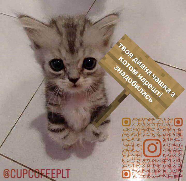 Вайбова кав'ярня.