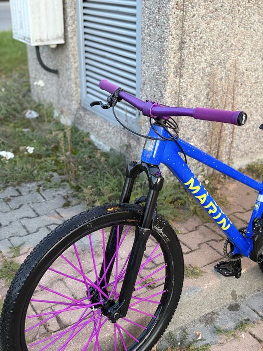 Marin Alcatraz 2023 custom
