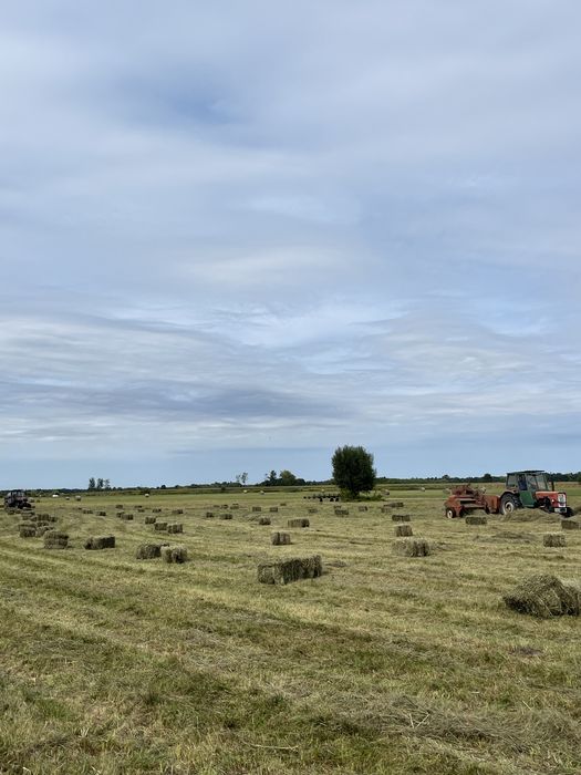 Sprzedam piękne siano