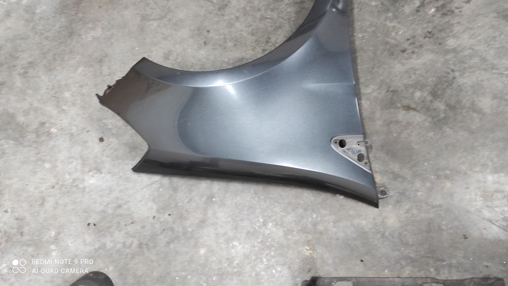 Renault Clio III blotnik prawy TEB66