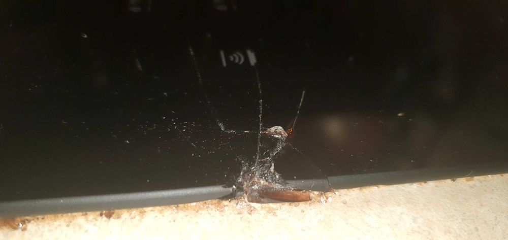 Plyta indukcyjna 71cm