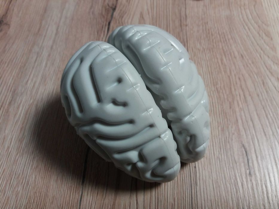 Tajemnice ludzkiego ciała - kolekcja DeAgostini IV