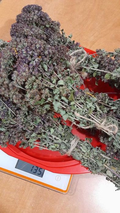 Букетики душиці ( материнки) 130 г Ціна за всі