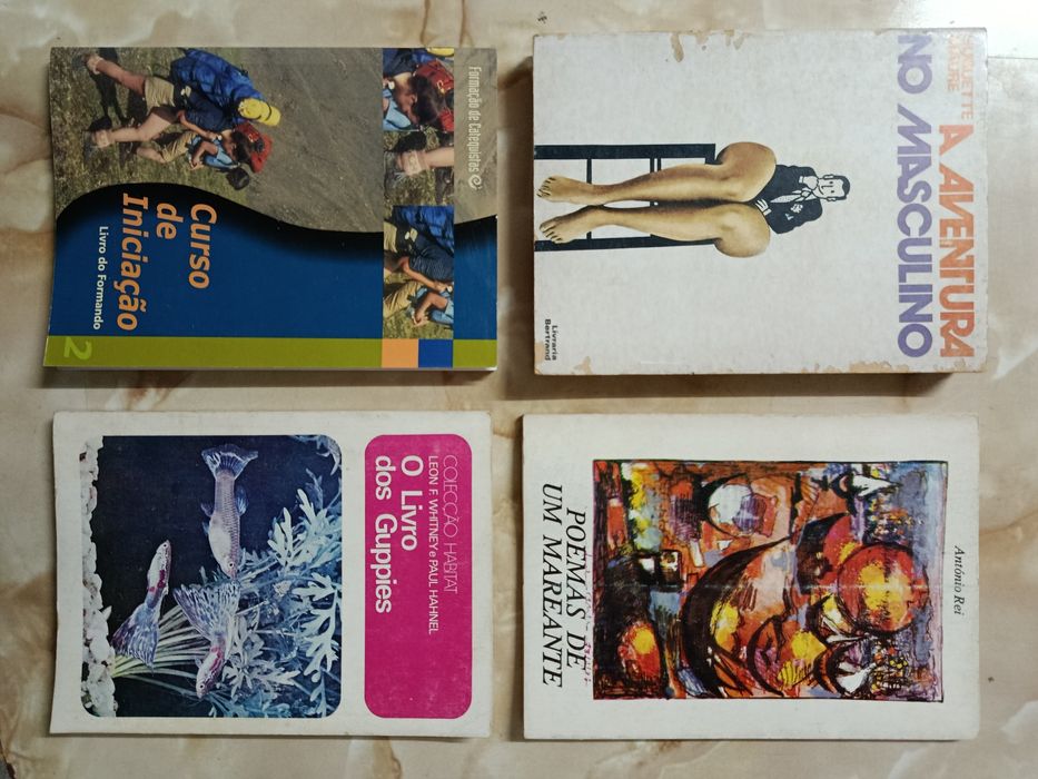 Lote de LIVROS bons e baratos ( 4 )