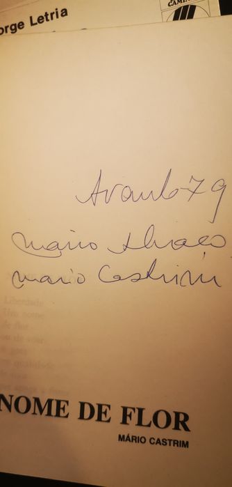 Nome de flor, Mário castrim