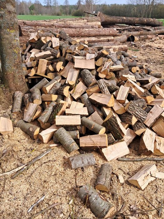 Suche drewno opałowe/kominkowe z transportem