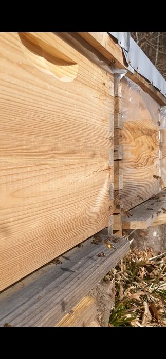 Ранні Бджолопакети, пчелопакеты