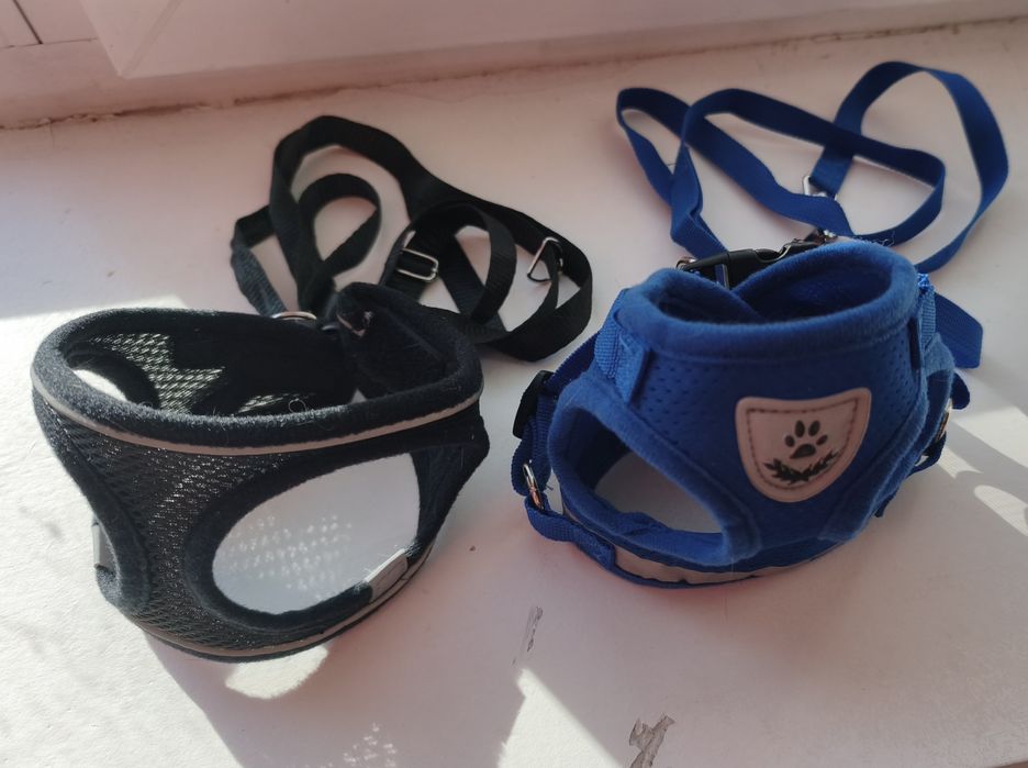 Шлейка для маленьких собак