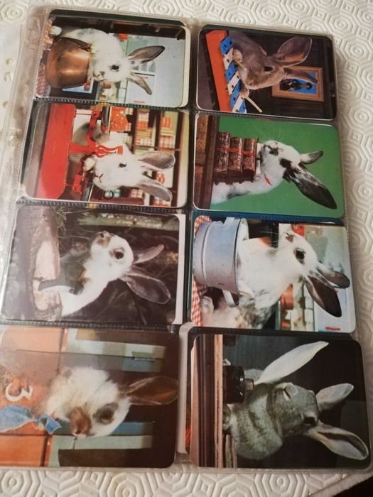 Coleção de calendários de animais