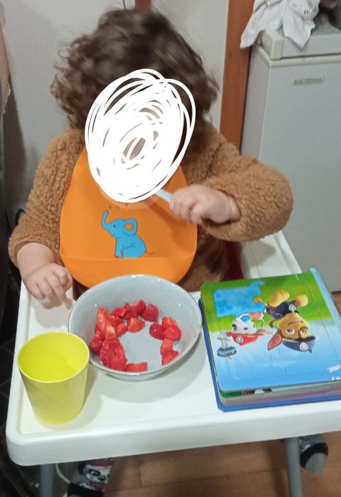 Cadeira alta de refeição bebé com tabuleiro