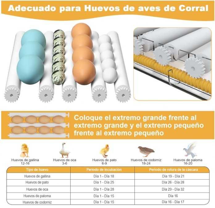 Incubadora com Giro Automático 16 Ovos