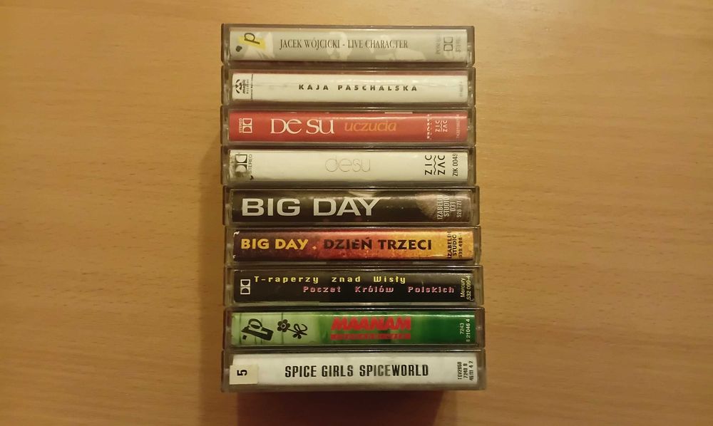 BigDay,Desu,KajaPaschalska,JacekWójcicki,Maanam,T-Raperzy,SpaceGirls.