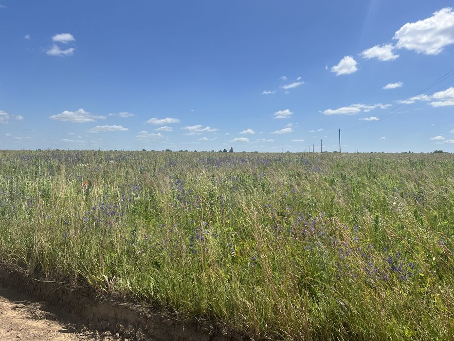 Земельна ділянка біля Луцька - ідеальний варіант для інвестицій