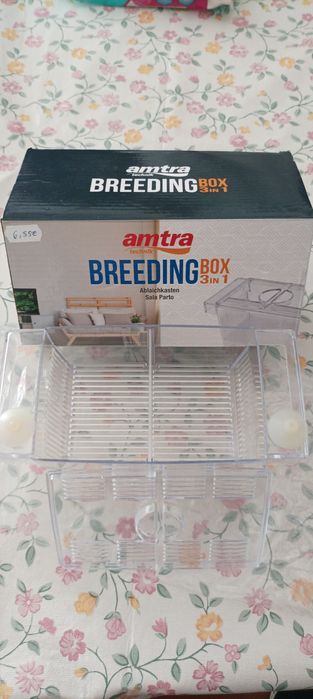 Breeding Box 3 em 1 Amtra