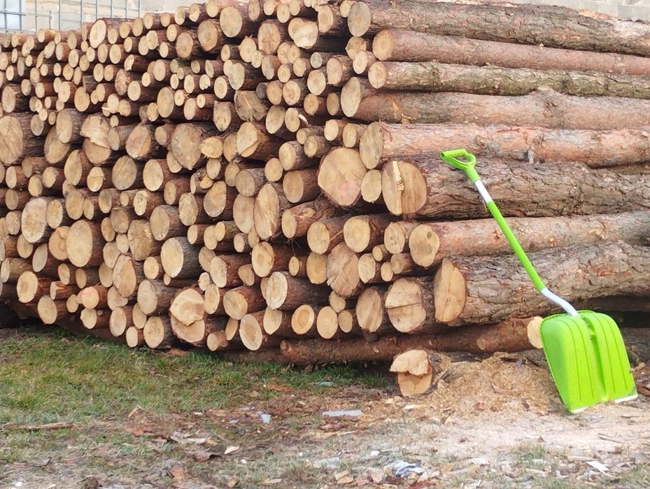 Drewno sosnowe - wałki oraz rąbane