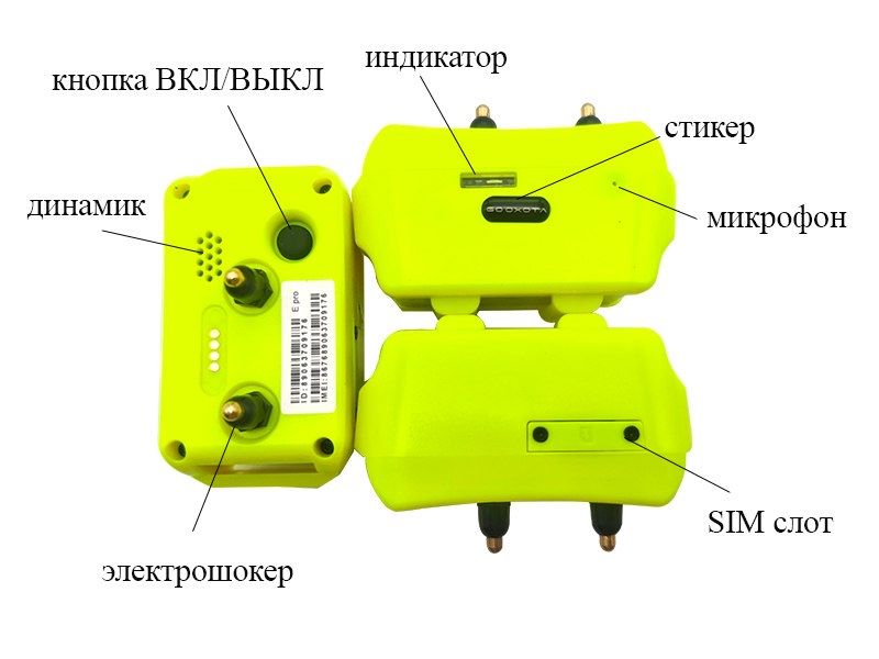 GPS трекер для собак