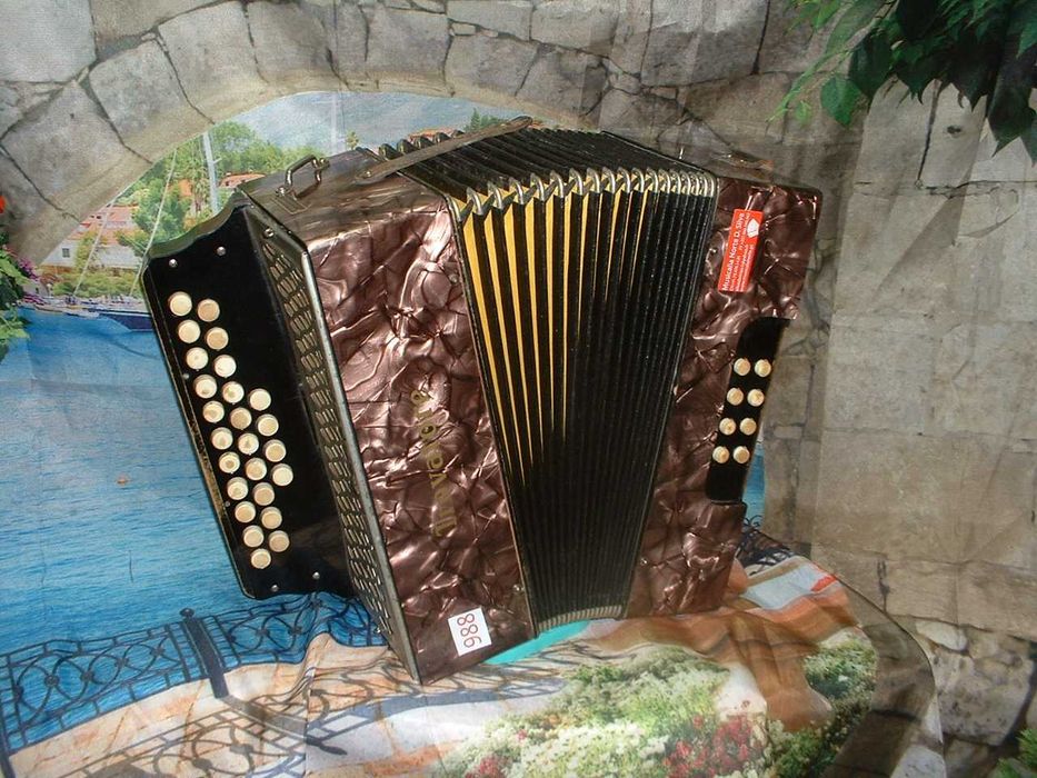 Concertina   Avenda N .988