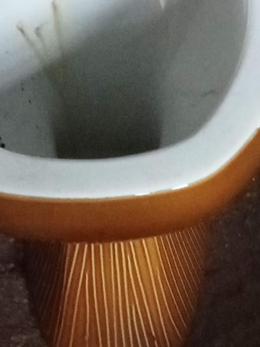 Vendo, um espelho, uma sanita, eum lavatório.