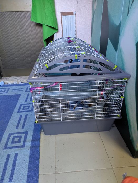 Gaiola furão/coelho