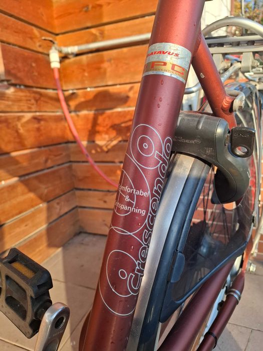 Rower damski Batavus Crescendo