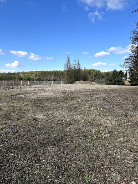 1000 m2 w Murowanej Goślinie przy Netto - pod działalność gospodarczą