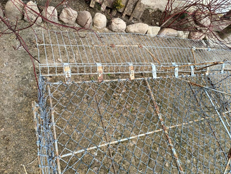 Klatka siatkowa dla golębi