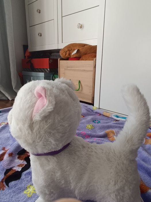 Gato eletrônico que anda