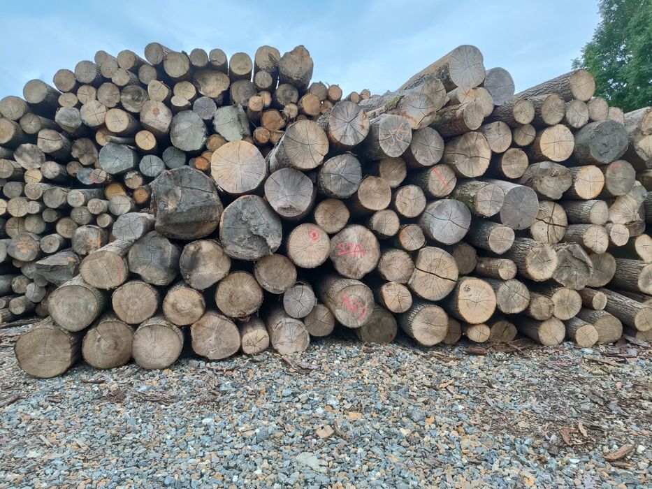 Drewno opałowe kominkowe