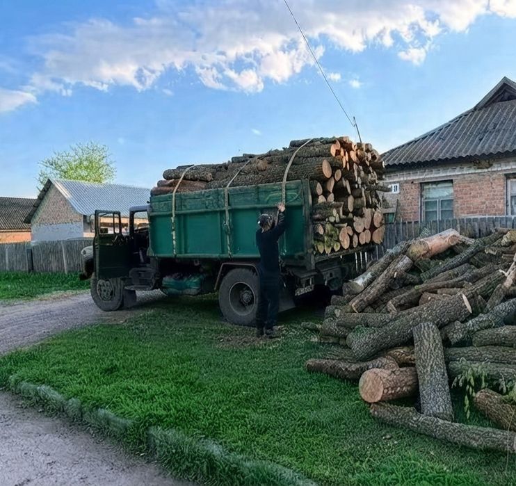 Дрова твердих порід: дуб, береза, вільха. Якісна деревина для опалення, чесний об’єм, щільна укладка без пустот. Доставка! 6,10,15 м3