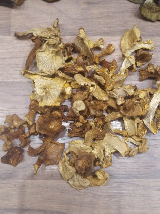 Suszona kurka - pieprznik jadalny 200 g