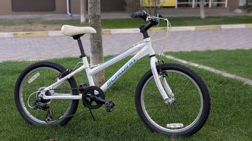 schwinn mesa Хобі, відпочинок і спорт