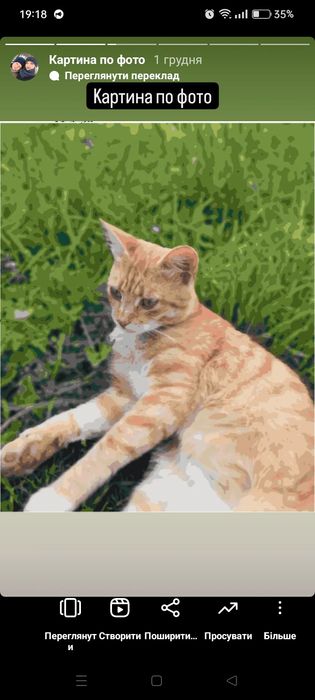 Картина по номерах за вашим фото, картина за номерами, кращі ціни