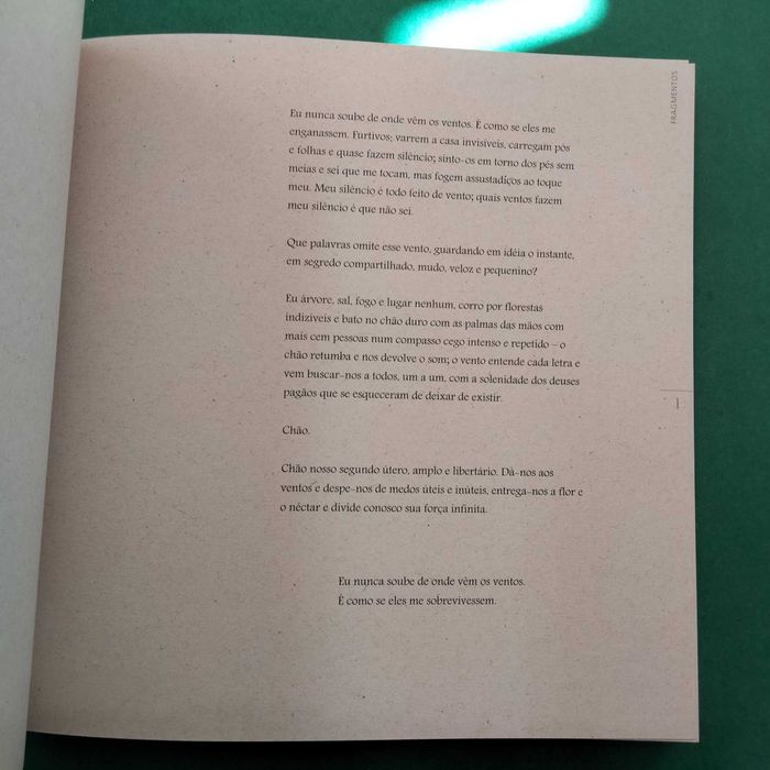 Fragmentos - R. C. Ballerini