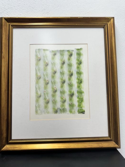 Coleçao quadro Vintage