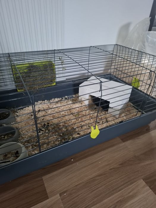 Drewniany domek dla świnki morskiej / królika