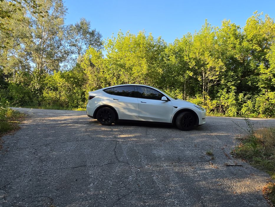 Tesla Model Y Long Range Dual Motor