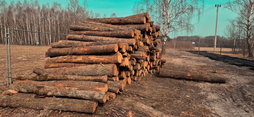 DĄB, BRZOZA, OLCHA Drewno Kominkowe i opałowe z DOSTAWĄ (opał, drzewo)
