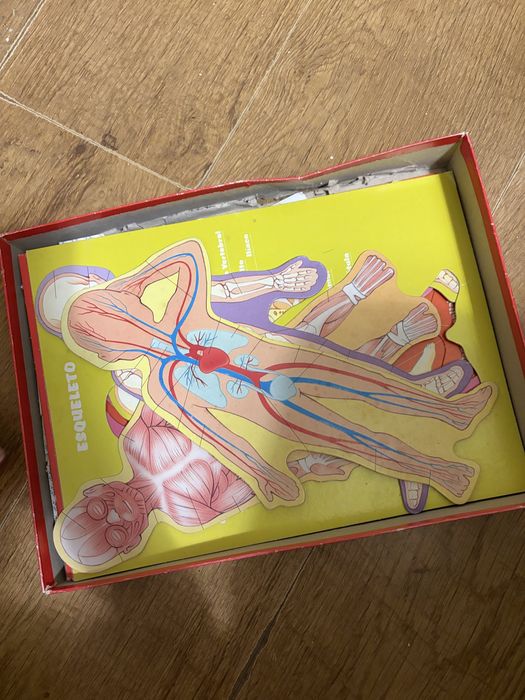 Jogo vintage Anatomia