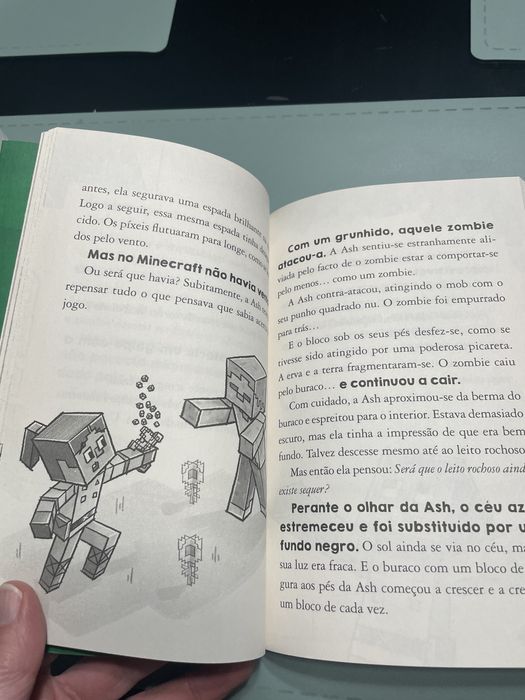 Livro de leitura : Livro de Minecraft “O fim do overworld”